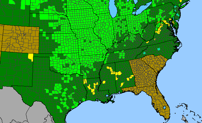 The range of Quercus macrocarpa